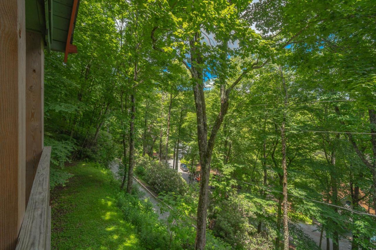 Swiss Mountain Village Blowing Rock Luaran gambar